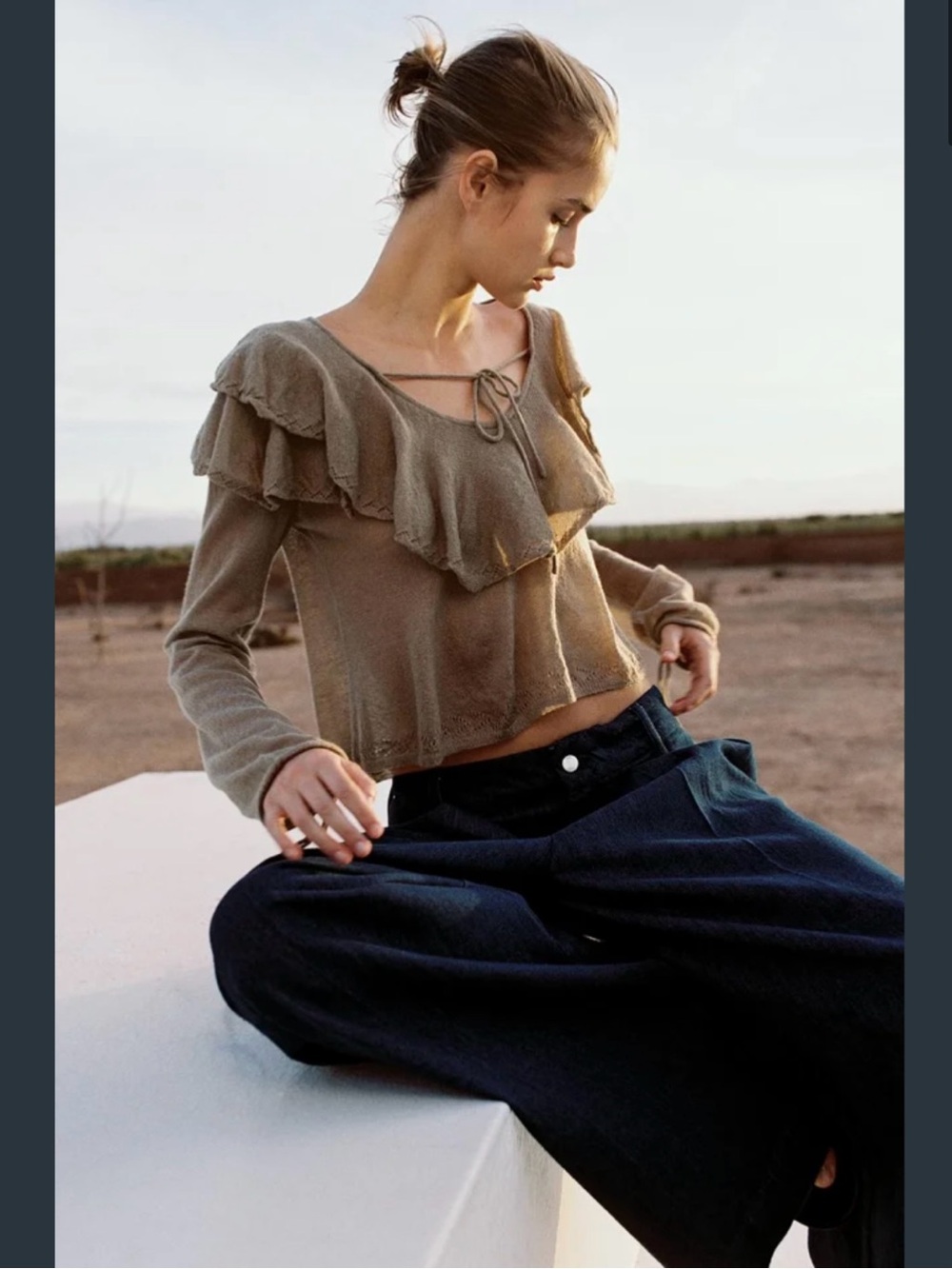 Zara brown ruffle long sleeve top
